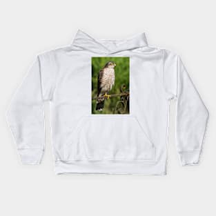 Female Sparrowhawk Hawk Bird of Prey Photo Kids Hoodie